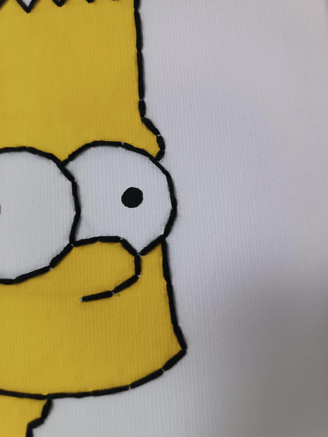 Toile brodée Skate